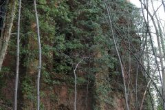 IMG_6769