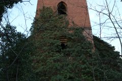 IMG_6774