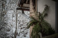 IMG_5782