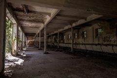 IMG_4094