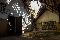 IMG_4098