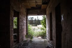 IMG_4174