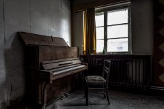 IMG_2955