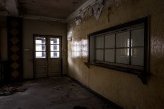 IMG_2958