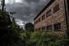 IMG_2963