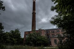 IMG_2972