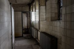 IMG_2977