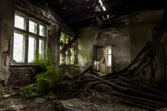 IMG_2984