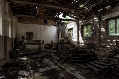 IMG_2987