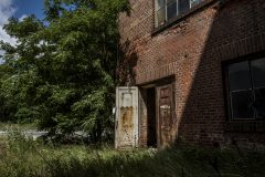 IMG_2995