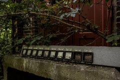 IMG_3016