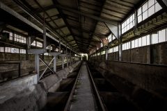 IMG_3140