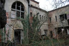 IMG_6276