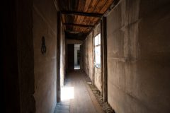 IMG_0294