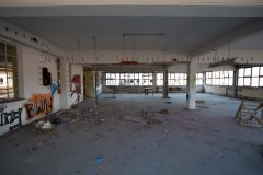 IMG_0350