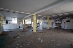 IMG_0351
