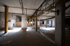 IMG_0459