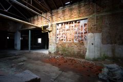 IMG_0496