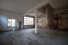 IMG_0519