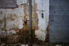 IMG_0547