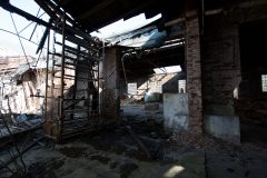IMG_0556