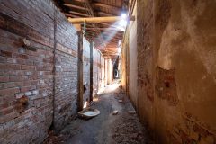 IMG_0590