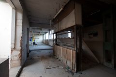 IMG_0613