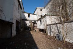 IMG_0655