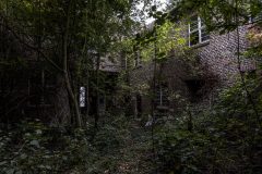 IMG_4948