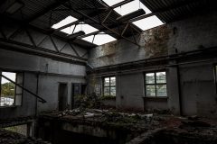 IMG_5026