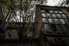 IMG_5061
