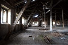 IMG_7648