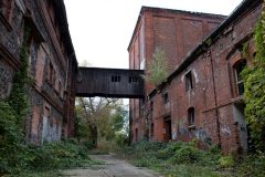 IMG_7659