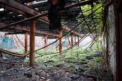 IMG_7667