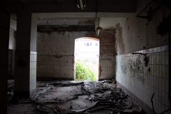IMG_7669