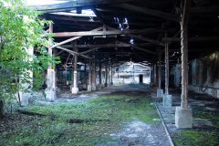 IMG_7621