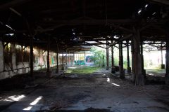 IMG_7625