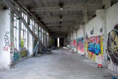 IMG_7637