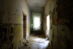 DSCF2028