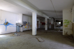 DSCF2080