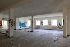 DSCF2101