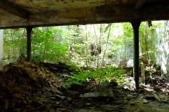 DSCF2115