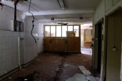 DSCF2168