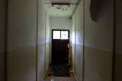 DSCF2173