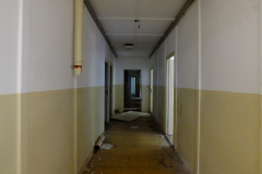 DSCF2176