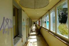 DSCF2186