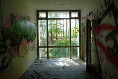 DSCF2195