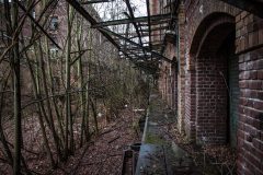 Malzfabrik Albert Wrede Köthen Eastern Exploration Urbex Lost Place