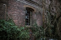 Malzfabrik Albert Wrede Köthen Eastern Exploration Urbex Lost Place