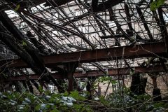 Malzfabrik Albert Wrede Köthen Eastern Exploration Urbex Lost Place